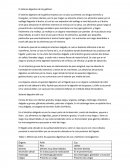El sistema digestivo de las gallinas