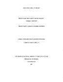 LA NUEVA GUIA 2 fundamentos g. integral