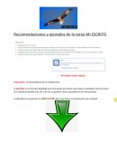 Recomendaciones y ejemplos de la tarea MI ESCRITO