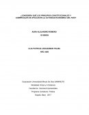 Considera qué los principios constitucionales y comerciales se aplican en la actividad económica del país?
