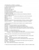 Actividad Las hipótesis