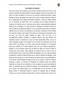 Los Niños De Brasil