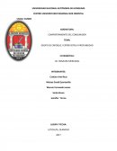 GRUPO DE ENFOQUE / ENTREVISTAS A PROFUNDIDAD