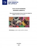 MICROORGANISMOS PRODUCTORES DE PIGMENTOS