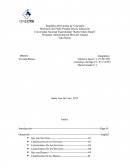 Programa Administración Mención Aduana