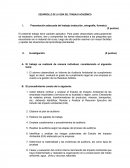 DESARROLLO DE LA GUÍA DEL TRABAJO ACADÉMICO