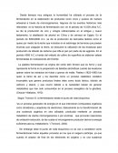 Según Tronconi G. la fermentación desde el punto de viste bioquímico
