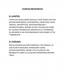 RESUMEN DE PLANTAS MEDICINALES
