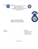 Vida de la Madre Teresa de Calcuta