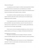 Elaboración del Meta-perfil