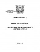 Obtencion de acetato de isoamilo