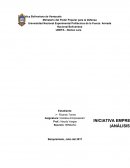 Reconocimiento de la oportunidad de negocios