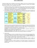 Analisis interno Cadena de valor