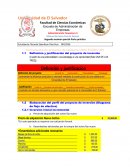 Formulacion de proyecto de inversion.