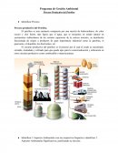 Programa de Gestión Ambiental