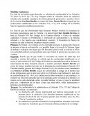 Medidas Cautelares En vista de los hechos antes descritos se solicitan de conformidad a los Artículos 25