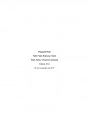 Proyecto Final Riles, Rises y Emisiones Atmosfericas