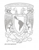 EL CAMPO APLICADO DE LOS PROCESOS ORGANIZACIONALES UNIVERSIDAD NACIONAL AUTONOMA DE MÉXICO