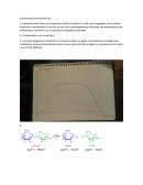 Cuestionario de fermentación