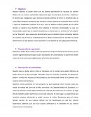 Gestión del patrimonio de México