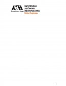 Identidad Neocatecumenal