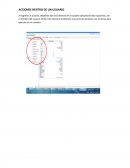 Acciones dentro de un usuario