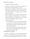 Objetivo e Importancia de la Auditoría