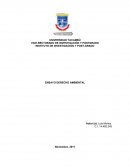 El Medio Ambiente y El Derecho Ambiental en Venezuela y América Latina