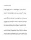 Marketing interno en los servicios de salud