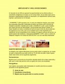 MERCADO META Y NIVEL SOCIOECONOMICO