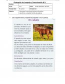 Evaluación de Lenguaje y Comunicación N°4