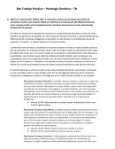 Trabajo practico psicologia genetica
