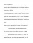 Análisis Película Ciudad de Dios.