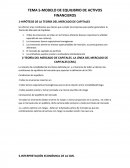 TEMA 5-MODELO DE EQUILIBRIO DE ACTIVOS FINANCIEROS