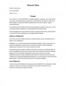 Oderbretch en Ecuador - Sólo Introducción