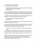 UNA NUEVA CLASIFICACION DE ORGANIGRAMAS POR SU CONTENIDO Y OBJETO