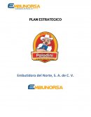 PLAN ESTRATEGICO Embutidora del Norte, S. A. de C. V.