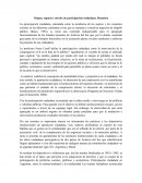 Origen, espacio y niveles de participación ciudadana. Resumen