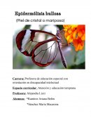 ¿Qué es la epidermólisis bullosa?