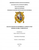 GUIA DE ATENCION DE ENFERMERIA AL NEONATO POST OPERADO DE MMC E HIDROCEFALIA