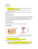 Guia dermatologia Embriogenia