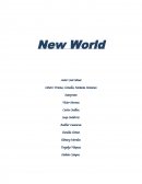 New World - La Novela Ligera.