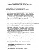 PRACTICA DE LABORATORIO Nº 1 CARACTERIZACIÓN FÍSICO-QUÍMICA DE LAS PROTEÍNAS