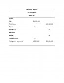 FRUTOS DEL BOSQUE BALANCE INICIAL