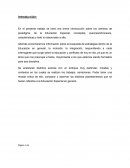 Ensayo de pedagogia y discapacidad