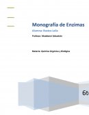Monografía de Enzimas