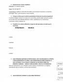 Trabajos practico lengua