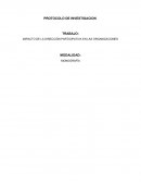 Impacto de la dirección participativa en las organizaciones