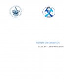 Albert Camus. El extranjero