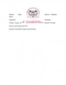 Ensayo de película “The Help”